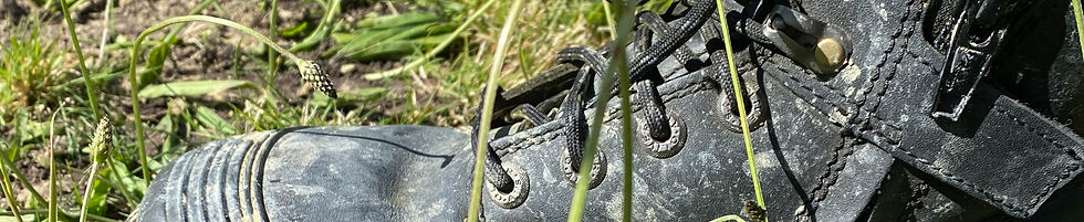 Structure Inspection 3.jpg