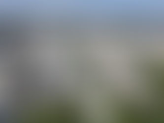 Burghausen und deren Standort.