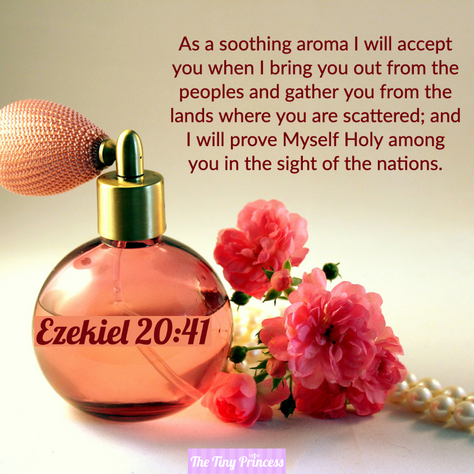 Sweet Aroma