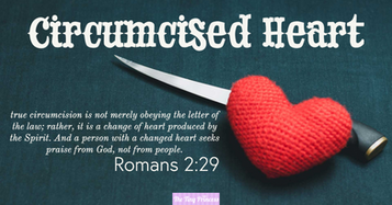 Flesh Cut | Circumcised Heart 