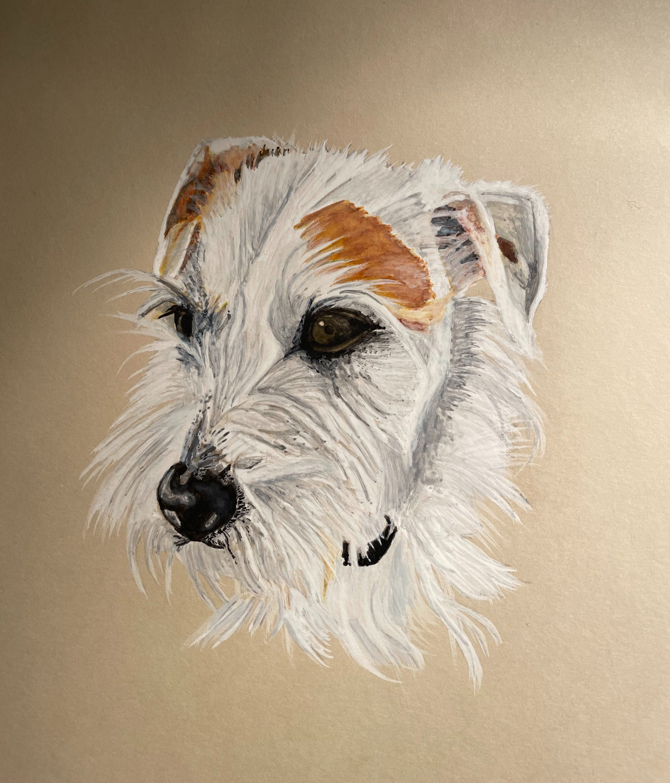 A3 Pet Portrait Gift Voucher