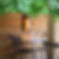 restaurant aude - tulipe noire 18.jpg