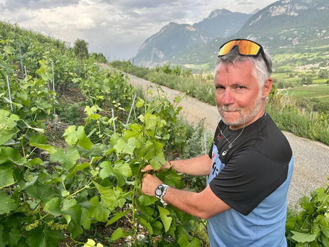 Tarcis à la Vendange - Les Vins de Tarcis - Apprenti Vigneron en Valais