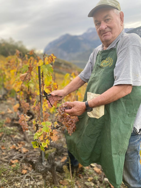 Les Vins de Tarcis - Apprenti Vigneron en Valais