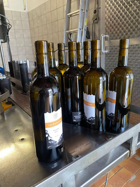 Mise en bouteille - Les Vins de Tarcis - Apprenti Vigneron en Valais