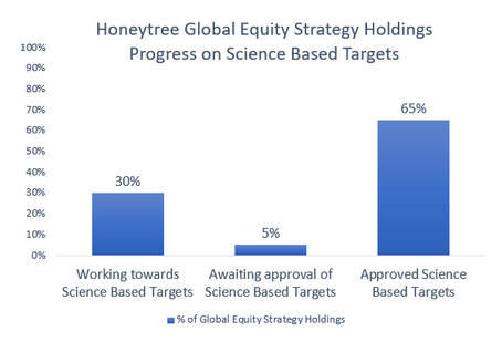 Measuring Science Based Targets progress in Honeytree strategies