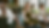 Federal Way Meditation PPT.png