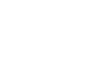 Toronto Webfest Award
