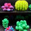 Thumbnail: Box of Succulent Wax Melts