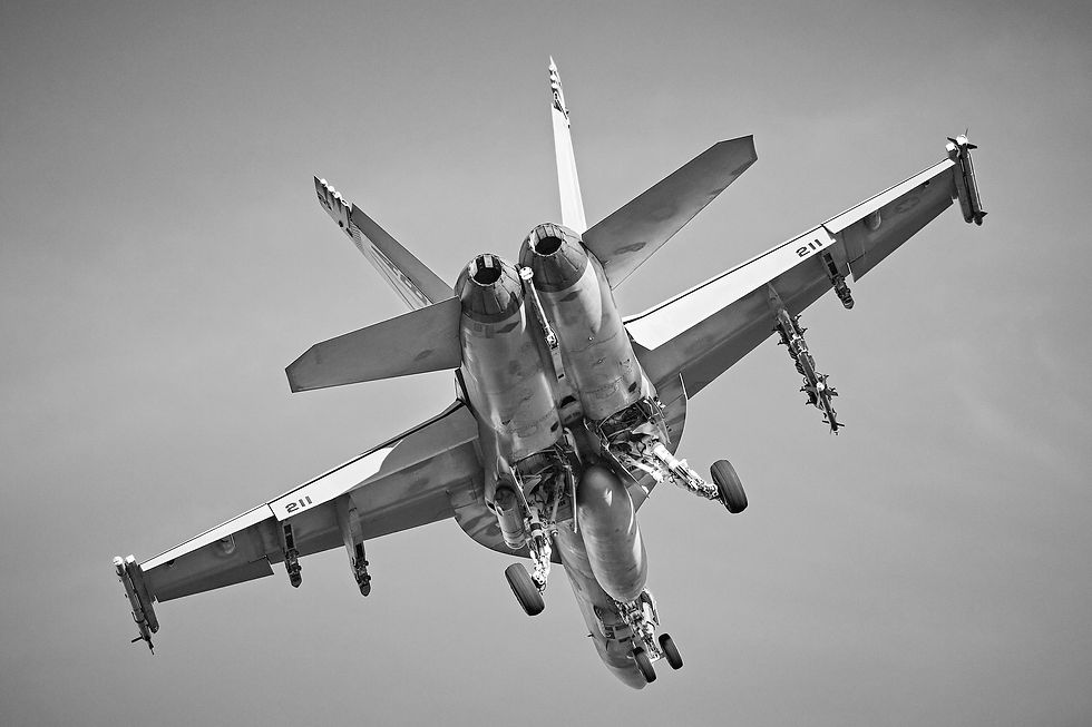 Halcon f-18 1.jpg