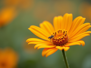 El significado espiritual de encontrar colibrí, plumas y mariposas como señales de seres amados fallecidos