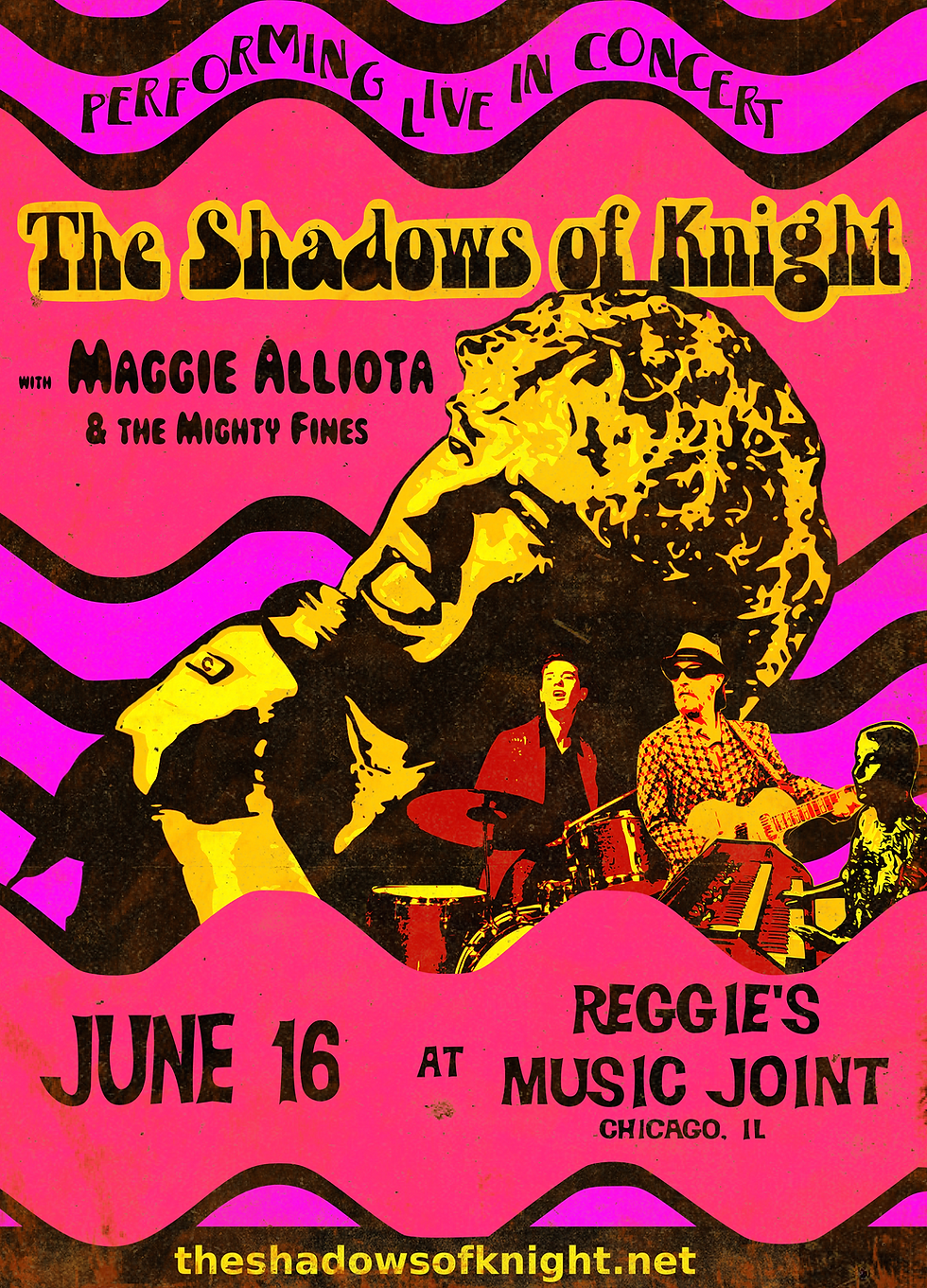 Shadows of Knight Reggies Music Joint