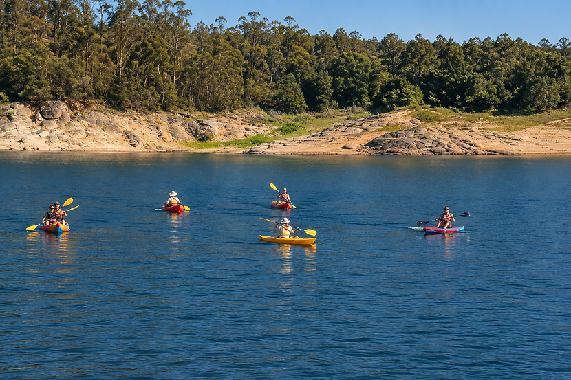 Social paddle.png