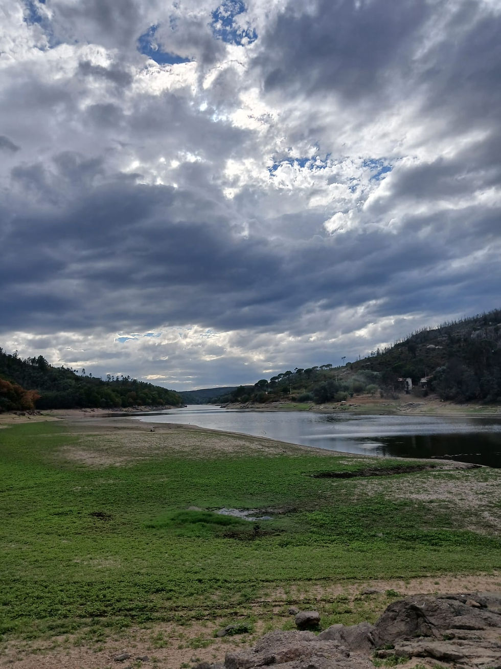 Green Mondego river bank on a cloudy day