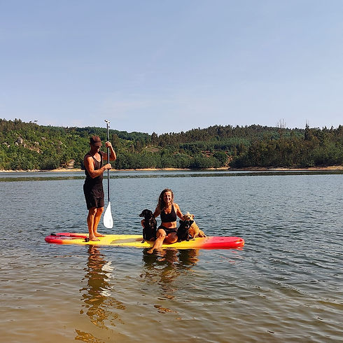 dogs on sup.jpeg