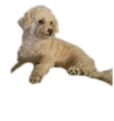 Photo_1583616940817.png