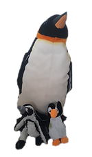 Photo_1583627060421.png