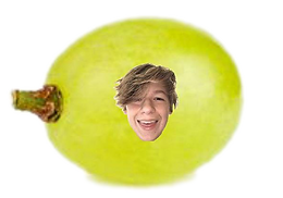 Photo_1583807433027.png