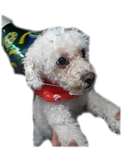 Photo_1583617299984.png