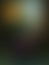 La démarche artistique d'Hervé Laurent