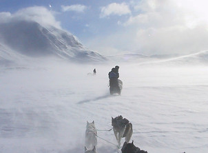 Sleddog adventure self drive husky tour in Swedish mountain at Laplandhusky in Swedish Lapland
