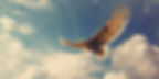 soaring high with God.jpg