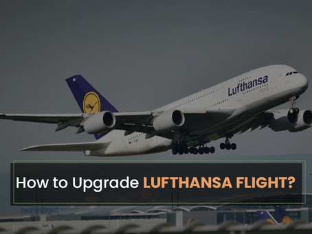 How to Secure A Lufthansa Seat Upgrade? Tips And Strategies | Tours N Travel Pro
