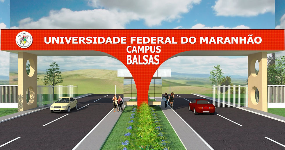 imagem-02