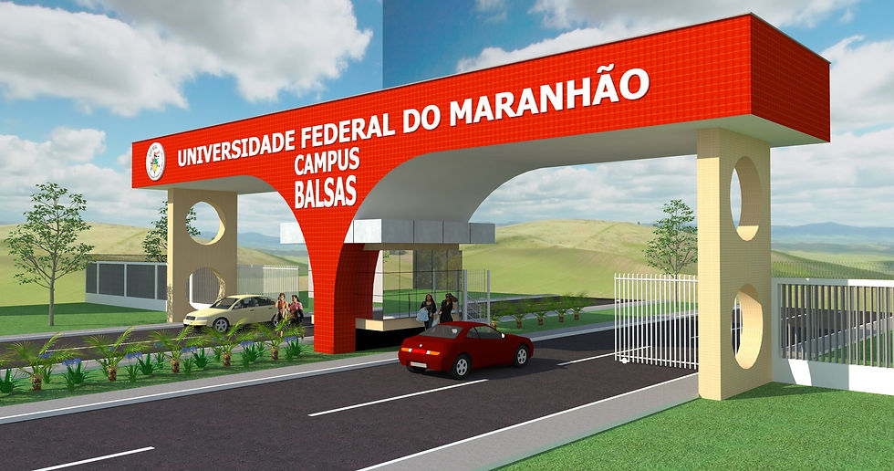 imagem-01