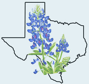 Texasstateflowerdesign12x16 (1)_edited_e