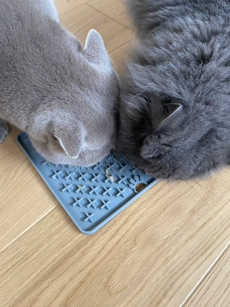 Thumbnail: SCHMACKOFATZ I - likmat