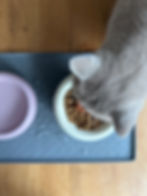Miniaturbild: SCHMACKOFATZ - Flacher Katzen Napf aus Keramik (matt)