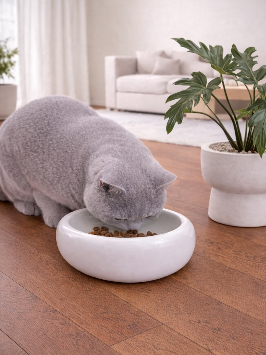 SCHMACKOFATZ - Flacher Katzen Napf aus Keramik (matt)