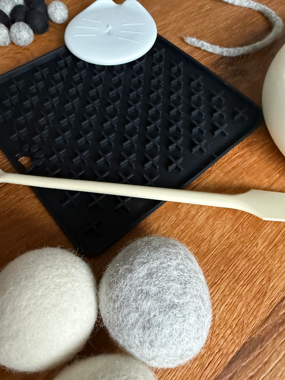 Thumbnail: KITTEN - Erstausstattungs (Fütterung und Spiel) Set