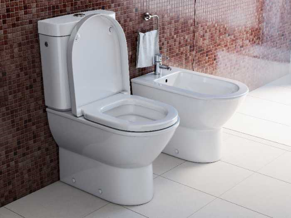 bathroom with toilet and traditional standalone bidet