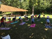 Community Yoga, Vegan Potluck, DelightFull Co, Harrisburg PA