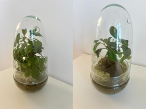 This message is for leaders who feel constrained to grow… they are looking for a bigger pot! 