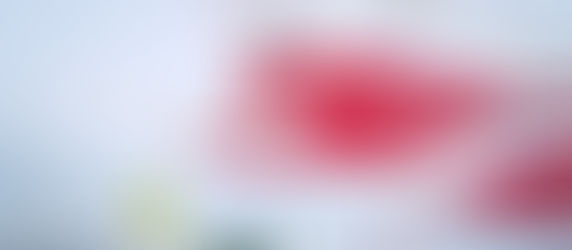 2025. gads Rīgas lidostā pagājis stabilas darbības zīmē, apkalpots 7,1 miljons pasažieru