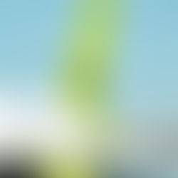Jauna iekāpšanas kārtība airBaltic – grupu sistēma klientu pieredzes uzlabošanai