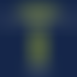 Informācija par airBaltic lidojumiem uz Dubaiju un Telavivu un no tās