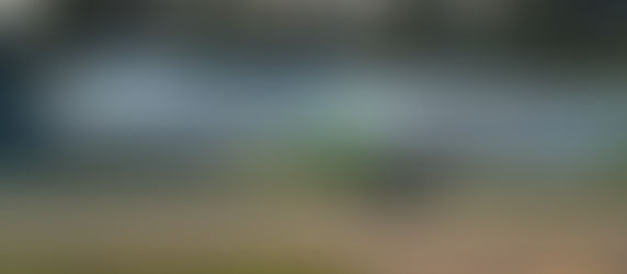 airBaltic nosauc 2025. gada pirma pusgada popularakos produktus lidojumos