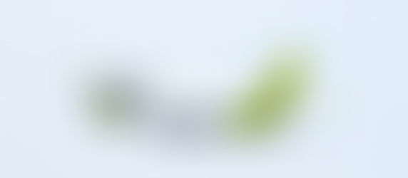 airBaltic iznomā vienu Ukraine International Airlines lidmašīnu