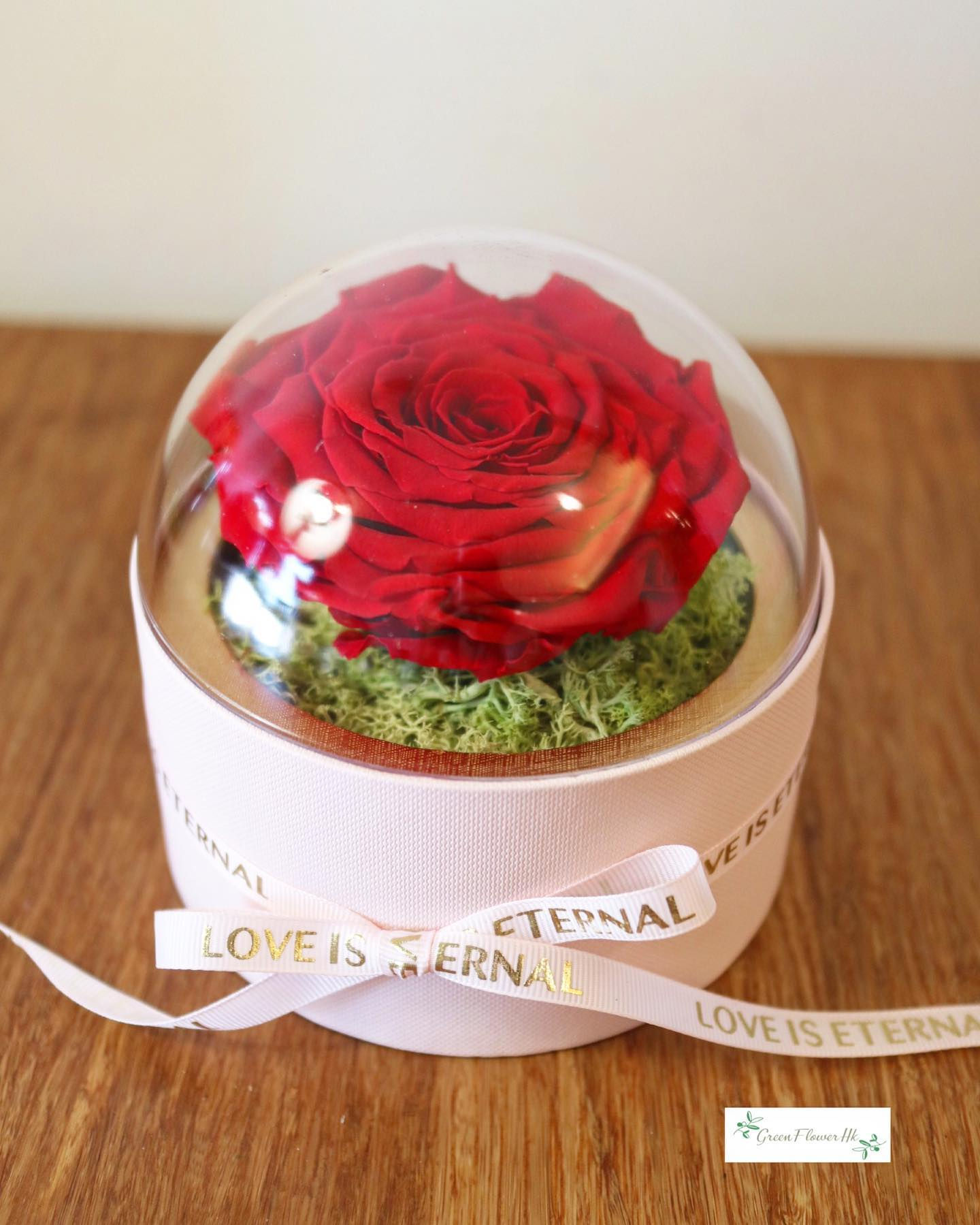 XR01-厄瓜多爾保鮮特大玫瑰花