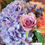 縮圖：F16- Roses ＋Purple Hydrangea (Fresh Flower Bouquet)