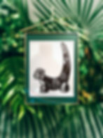 Taino Symbols Dujo