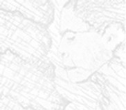 perfil skectch copy_edited-10.jpg