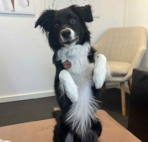 284eee33-7786-4060-aaf7-81bbfc20ce55.jfif