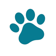 Poteikon – fysikalsk behandling med laser for hund