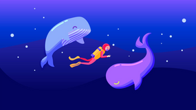 Whaling - Motion Graphics