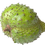 Thumbnail: Soursop